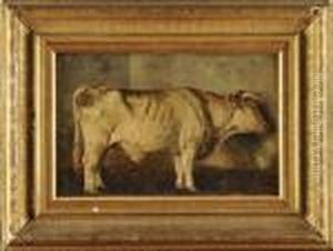 Le Boeuf A L'etable by Constant Troyon