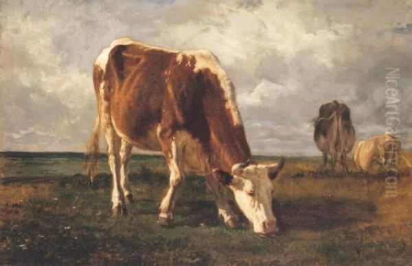 Vaches Au Paturage - view 1