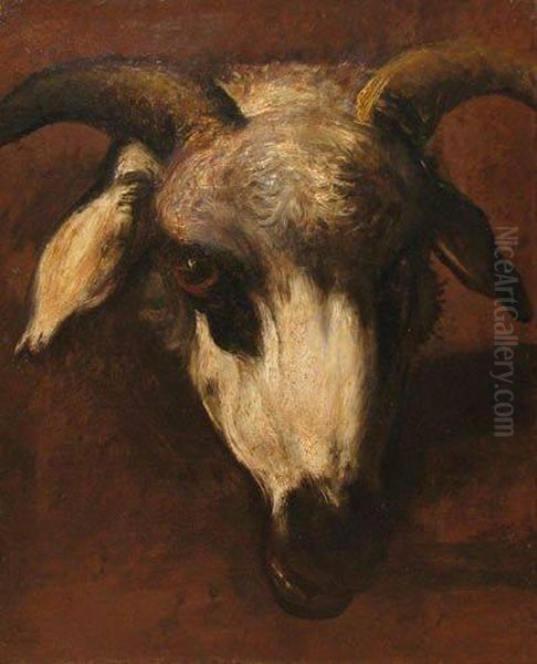 Ram Head Study - view 1