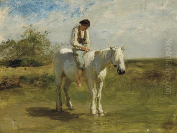 Cavalier En Camargue - view 1