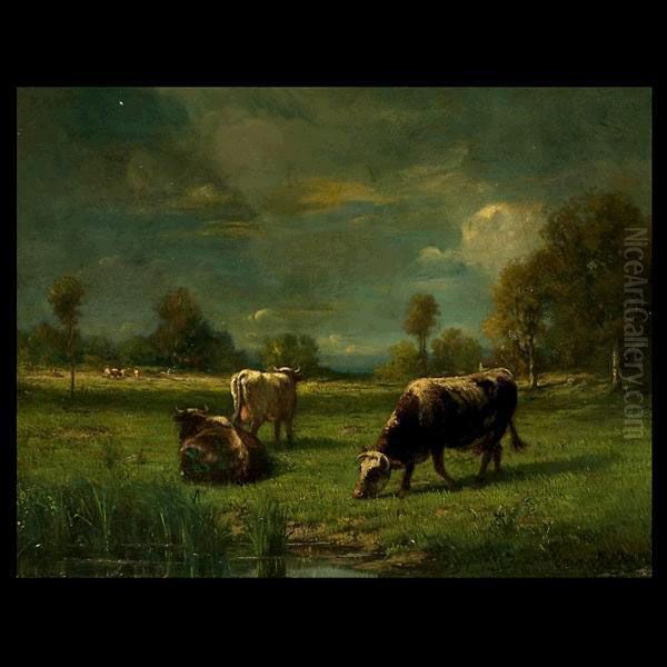 Cows Grazing In A Pasture - view 1