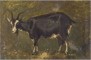 Une Chevre