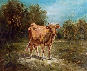 28,4 X 33,5 Cm, Gerahmt