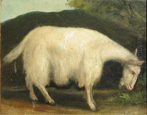 A Study Of A Long-haired Goat by Constant Troyon