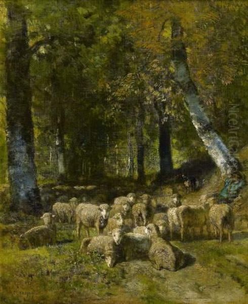 Troupeau De Moutons Dans La Foret - view 1