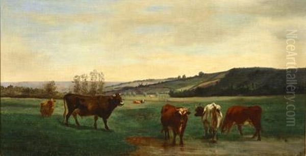 Les Vaches - view 1