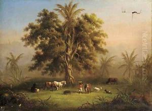 Horses Horses