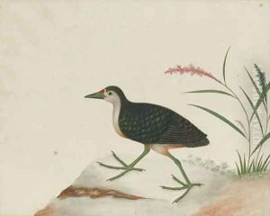 An exotic bird perched on a stump by Anglo-Chinese School