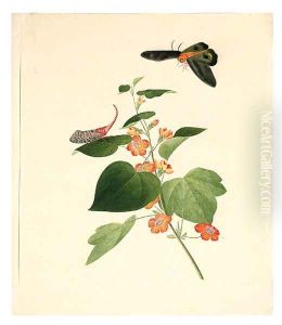 Flower and Butterflie by Anglo-Chinese School