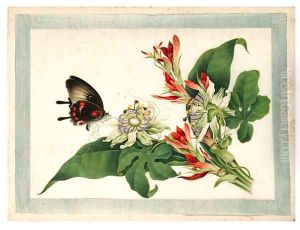 Flower and butterfly by Anglo-Chinese School