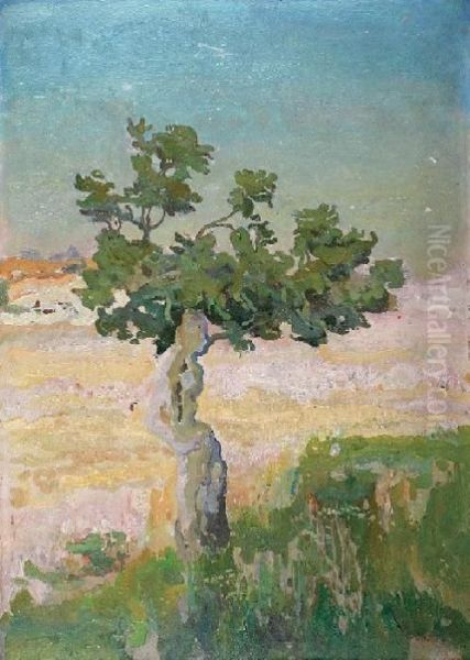 Samotne Drzewo - view 1