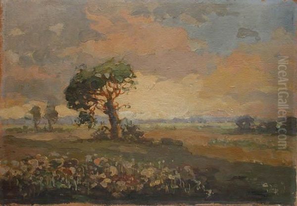 Pejzaz - view 1