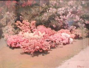 W Ogrodzie W Ogrodzie