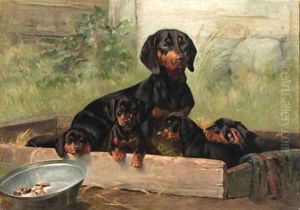 Dachshunds by Simon Simonson