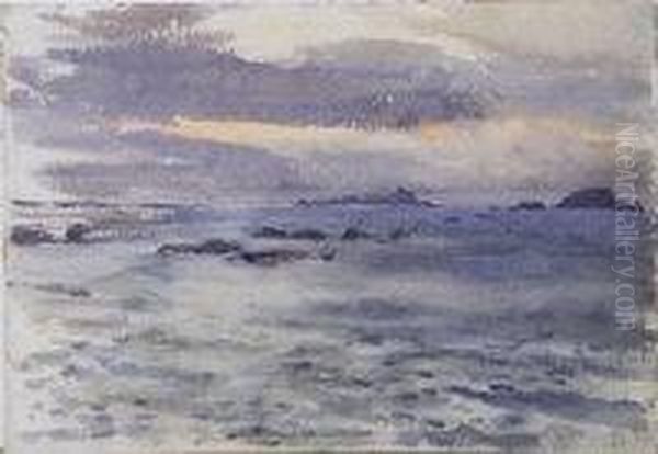 The Isle Of May And Fidra Or Lamb - view 1