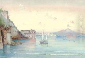 Vessels before Vesuvius, the Bay of Naples by Federico Schianchi