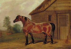 A strawberry roan horse before a stable