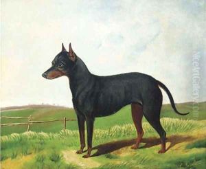 A Manchester terrier in a landscape A Manchester terrier in a landscape