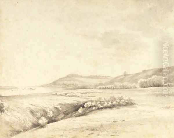 A riverlandscape with a ferry - view 1