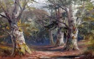 A Woodland