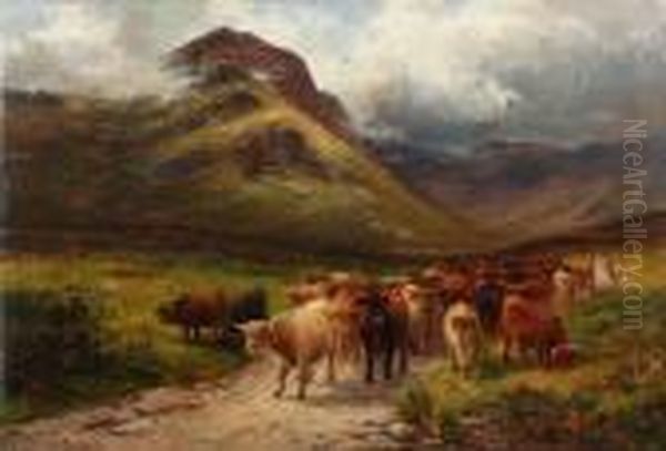 Drover And Highland Cattle On A Path - view 1