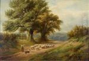 Shepherd With Dog And Sheep On A Cart Track Shepherd With Dog And Sheep On A Cart Track