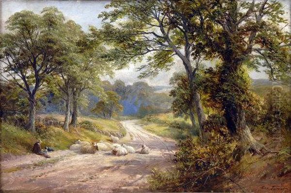 Sunshine In The Lane, Near Breadsall, Derbyshire - view 1