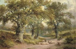 A Lane Near Windley, Derbyshire
