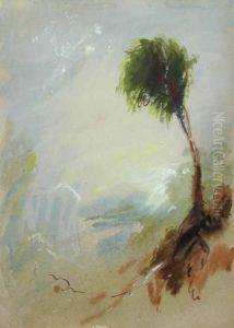 Study Of A Tree by Joseph Mallord William Turner