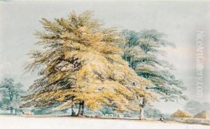 A Beech Copse Near Haystacks by Joseph Mallord William Turner