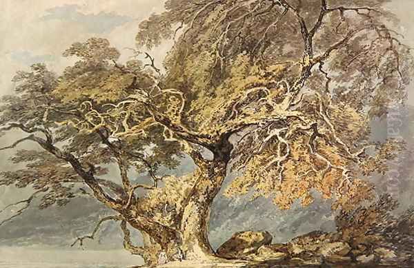 A Great Tree, c.1796 - view 1