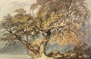 A Great Tree, c.1796
