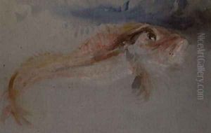 A Gurnard by Joseph Mallord William Turner