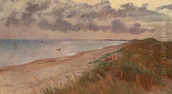 Skagen Beach On A Cloudy Day - view 1