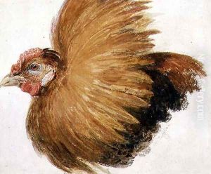 Game-Cock, from The Farnley Book of Birds, c.1816 by Joseph Mallord William Turner