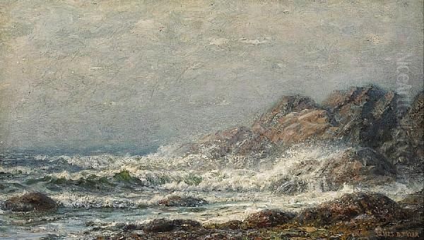 Rocky Coast - view 1
