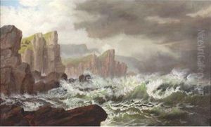 Rocky Coast 
Bears Signature 
James Tyler