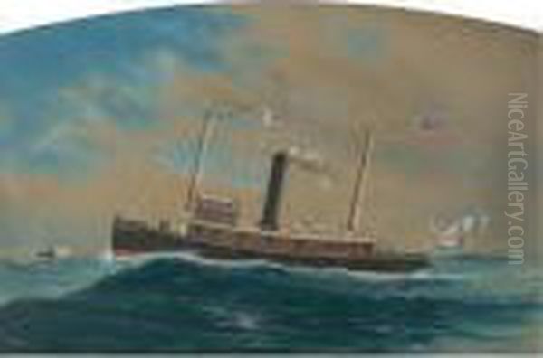 The Ship 'mason' At Sea - view 1