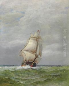 In Full Sail In Full Sail