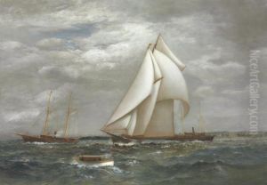 A Centerboard Schooner Of The New York Yacht Club by James Gale Tyler