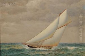 Sailing Sailing