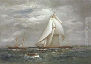 A Centerboard Schooner Of The 
New York Yacht Club With A Pair Of Steam Yachts And A Small Launch On 
Long Island Sound