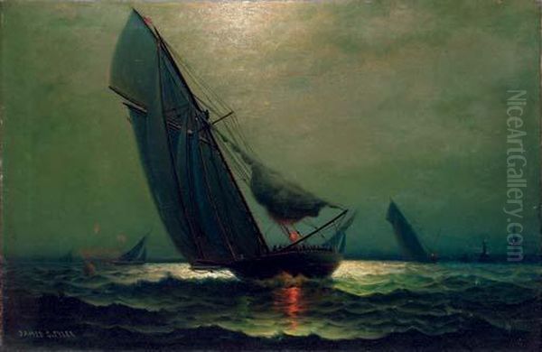 Evening Sails - view 1