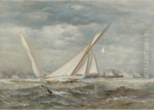The Yacht Race