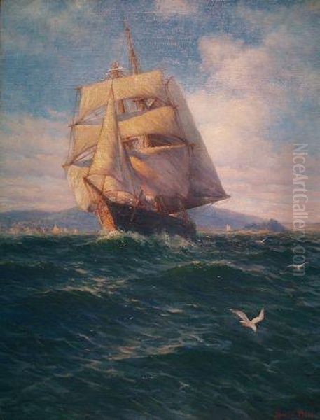 Schooner, Under Full Sail - view 1