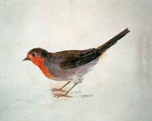 Robin, from The Farnley Book of Birds, c.1816