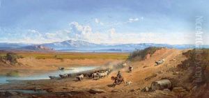 Rider With Cattle Herd In The Campagne.