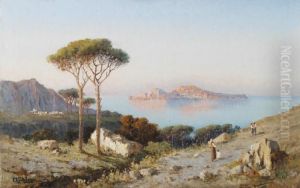Paysage Mediteraneen