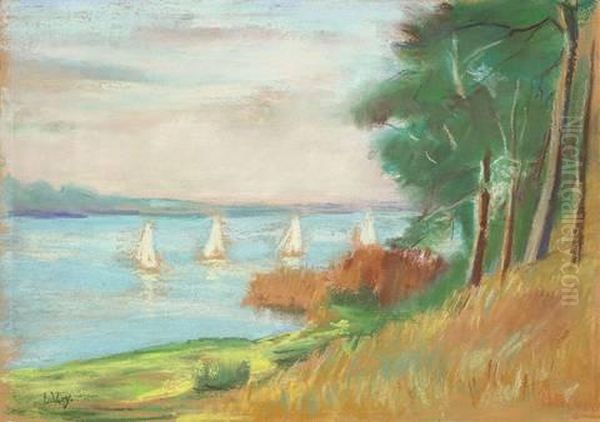 "segelregatta Am Wannsee" - view 1