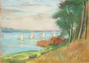 "segelregatta Am Wannsee"